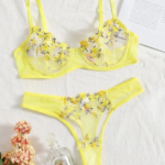 Transparent Fairy Embroidery Brief Sets Delicate Bra